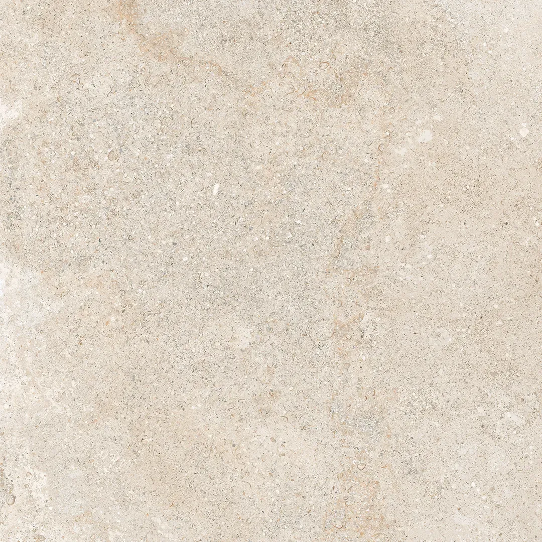Bone - Image 10