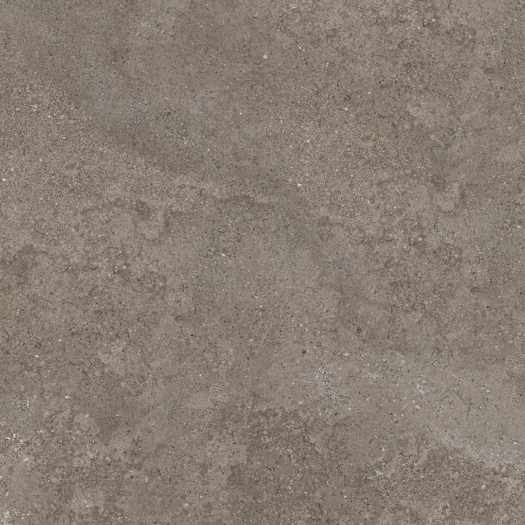 Bone - Image 17