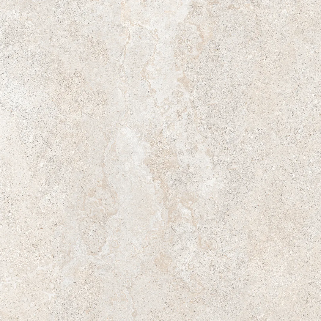 Bone - Image 5